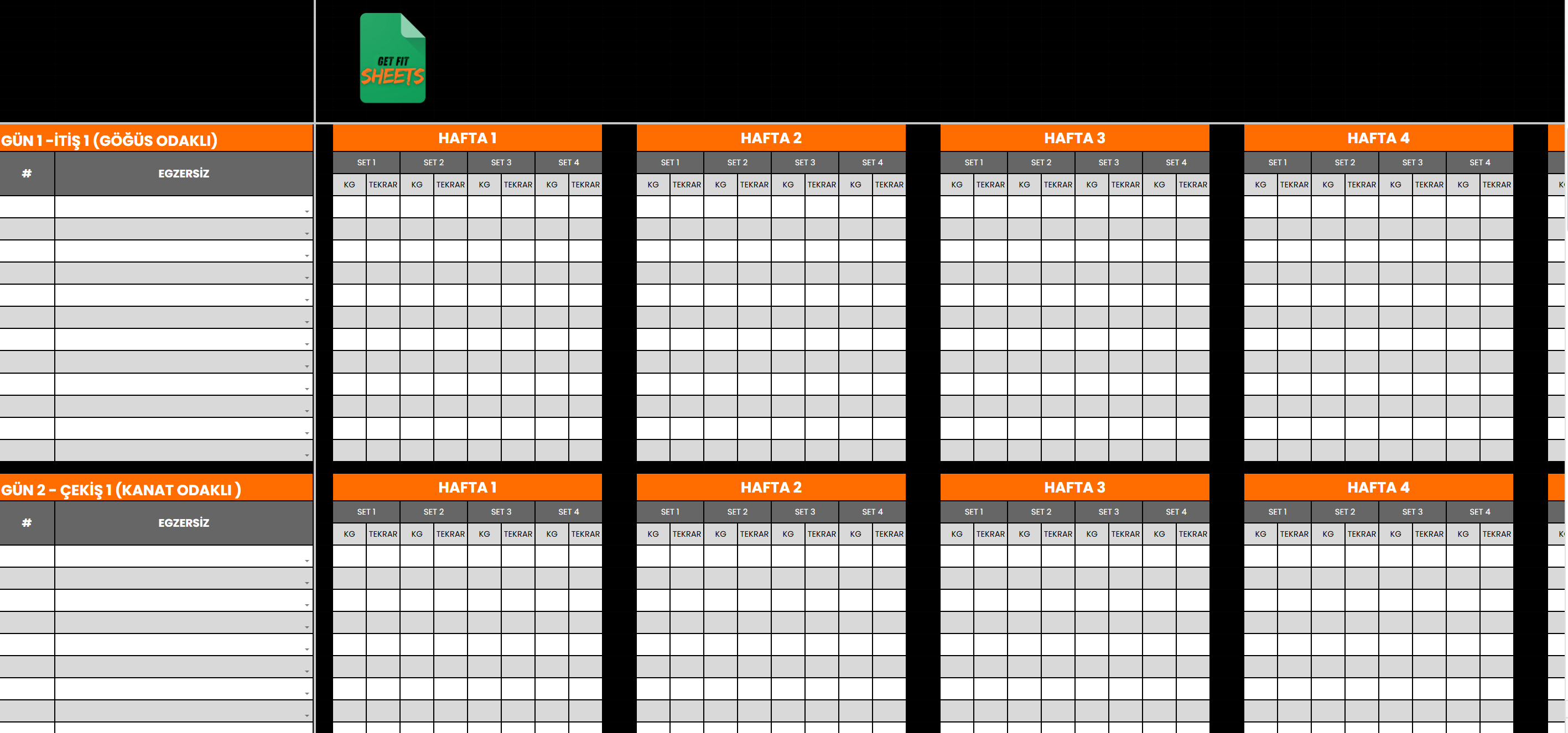 PRO PACKAGE — Gelişmiş Koçluk Sistemi